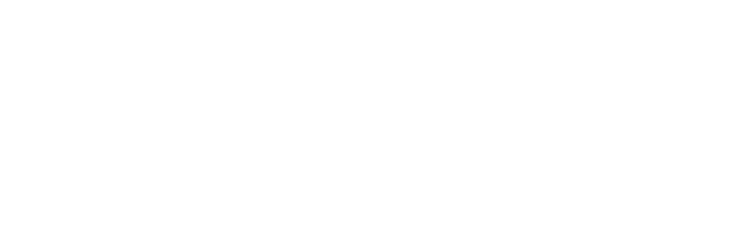 DCTS-Web-Logo_Simple_White